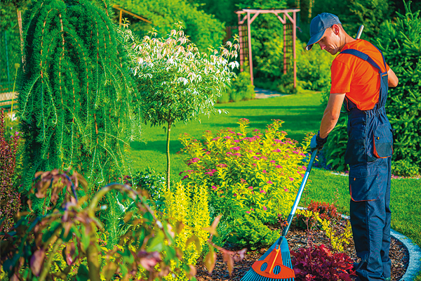 Teria-Services-jardinier à domicile