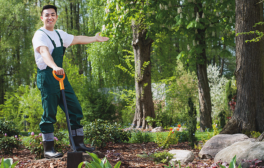 Teria-Services-jardinier à domicile