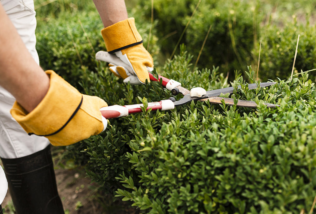 Teria-Services-jardinier à domicile