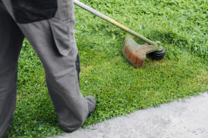 Teria-Services-jardinier à domicile